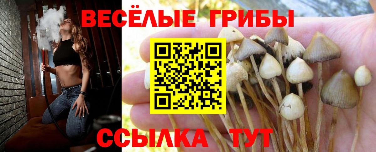 Сызрань  Галлюциногенные грибы ЛСД  Вход с VPN 