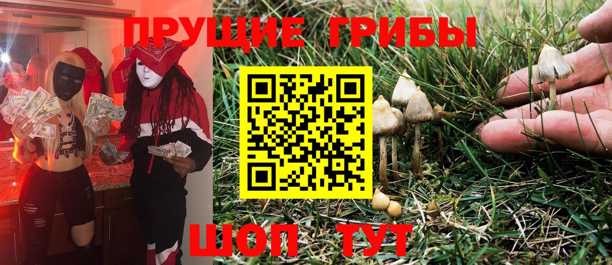 Псилоцибиновые грибы MAGIC MUSHROOMS Сызрань